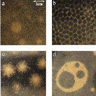  Tiny brass spheres only 120 microns across form a variety of patterns