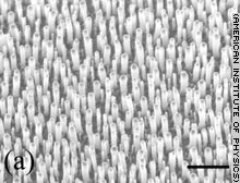 Antennen fuer Licht aus Kohlenstoff Nanoroehren