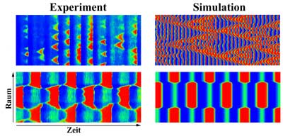 CO-Oxidation auf einer Platin-Oberfläche.  Für jeweils zwei verschiedene Muster sind Raum-Zeit-Diagramme entlang eines Schnittes durch die Oberfläche gezeigt (oben chaotische Ringstrukturen, unten reguläre Domänen).